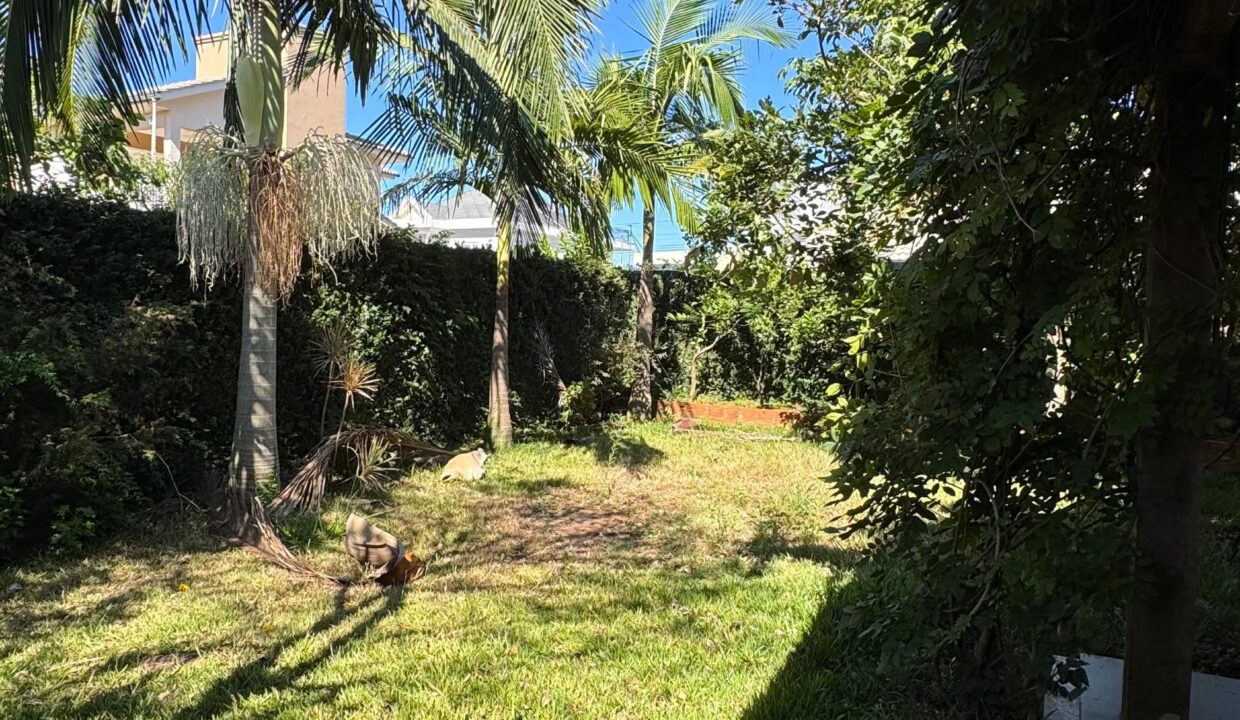 WhatsApp Image 2025-03-20 at 17.20.51 (1)