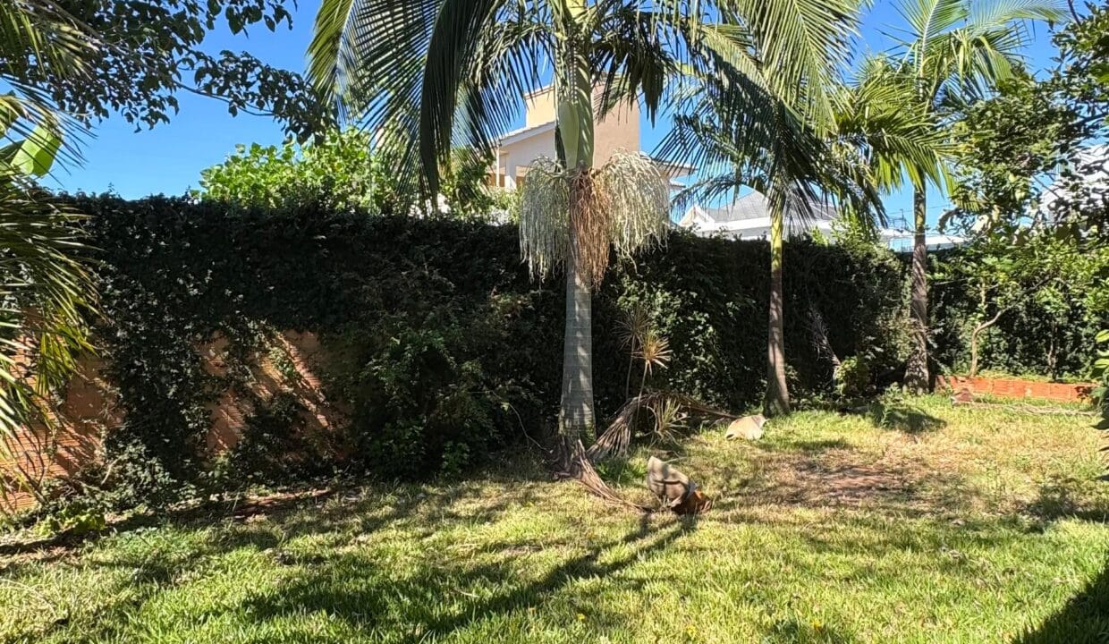 WhatsApp Image 2025-03-20 at 17.20.51