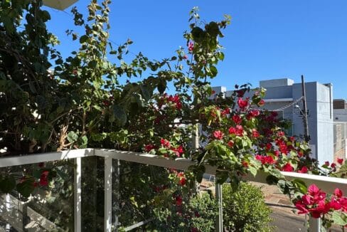 WhatsApp Image 2025-03-20 at 17.20.52 (1)