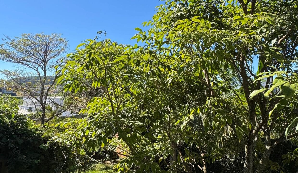 WhatsApp Image 2025-03-20 at 17.20.52 (6)