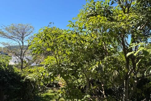 WhatsApp Image 2025-03-20 at 17.20.52 (6)