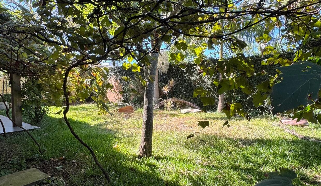 WhatsApp Image 2025-03-20 at 17.20.53