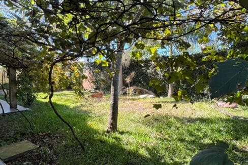 WhatsApp Image 2025-03-20 at 17.20.53