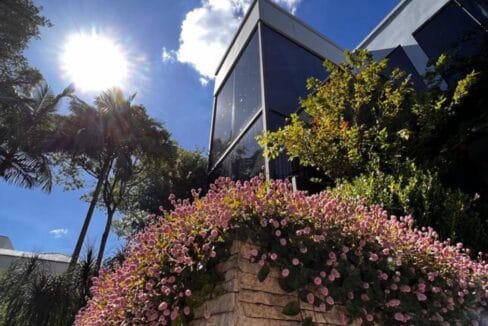 WhatsApp Image 2025-03-31 at 11.10.54