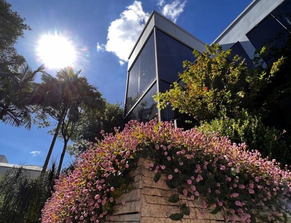 WhatsApp Image 2025-03-31 at 11.10.54