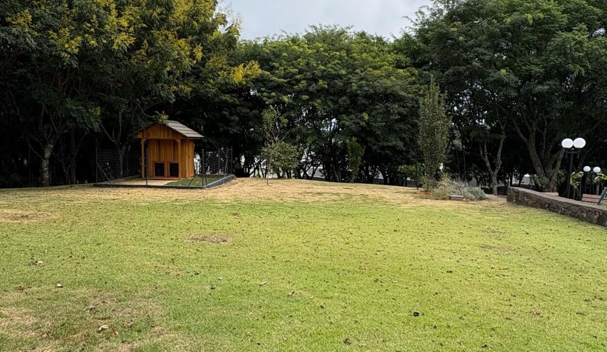 WhatsApp Image 2025-04-01 at 17.45.43