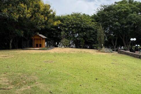 WhatsApp Image 2025-04-01 at 17.45.43