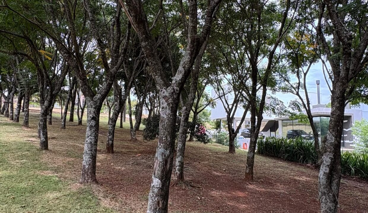 WhatsApp Image 2025-04-01 at 17.45.44