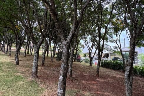 WhatsApp Image 2025-04-01 at 17.45.44