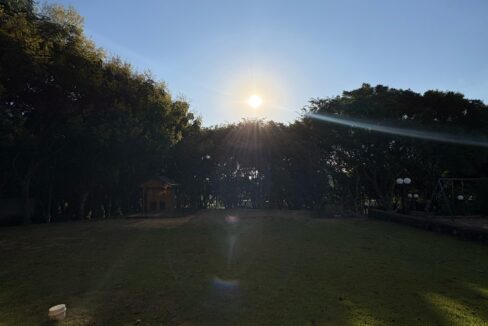 WhatsApp Image 2025-04-01 at 17.45.46