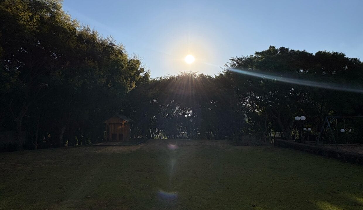 WhatsApp Image 2025-04-01 at 17.47.06 (1)