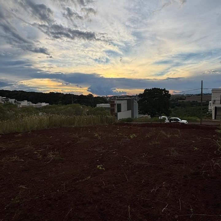 WhatsApp Image 2026-03-16 at 14.43.42.jpeg6